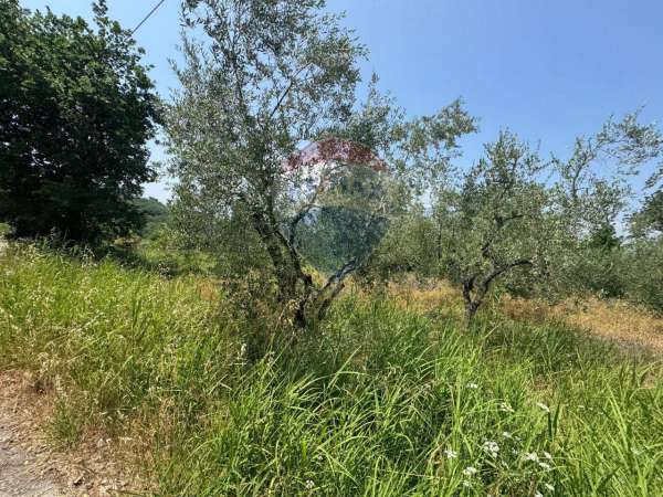 Foto Terreno agricolo in vendita a Minturno