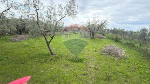 Foto Terreno agricolo in vendita a Minturno