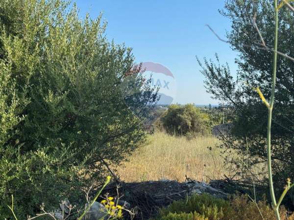 Foto Terreno agricolo in vendita a Modica