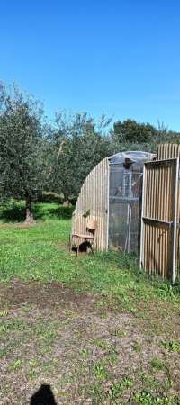 Foto Terreno agricolo in vendita a Monsummano Terme