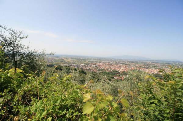 Foto Terreno agricolo in vendita a Montecatini Terme