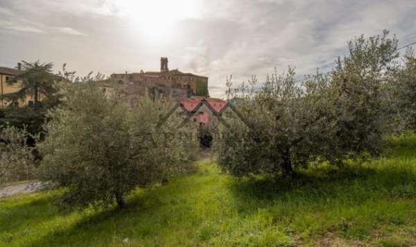 Foto Terreno agricolo in vendita a Montecerboli - Pomarance 7100 mq  Rif: 1249630