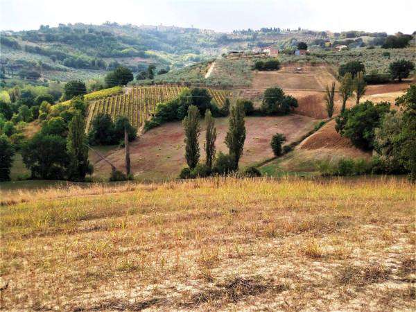 Foto Terreno agricolo in vendita a Montefalco