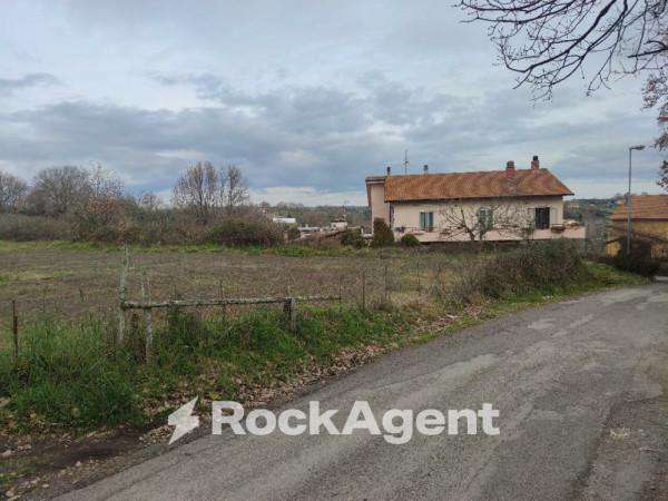 Foto Terreno agricolo in vendita a Montefiascone