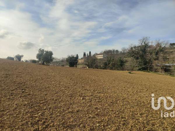Foto Terreno agricolo in vendita a Montefiore Dell'Aso