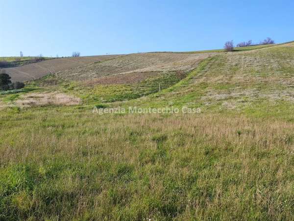 Foto Terreno agricolo in vendita a Montelabbate