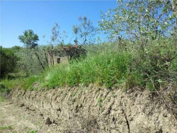 Foto Terreno agricolo in vendita a Monterappoli - Empoli 3300 mq  Rif: 1250672