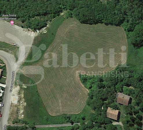 Foto Terreno agricolo in vendita a Montese