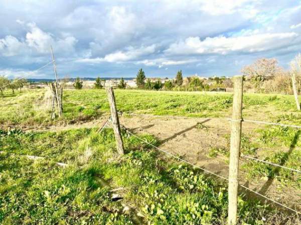 Foto Terreno agricolo in vendita a Montopoli in Val d'Arno 20000 mq  Rif: 1090129