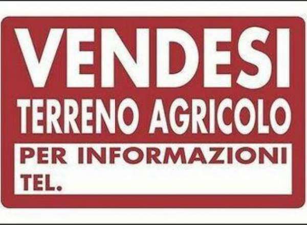 Foto Terreno agricolo in vendita a Navacchio - Cascina 7000 mq  Rif: 1178518