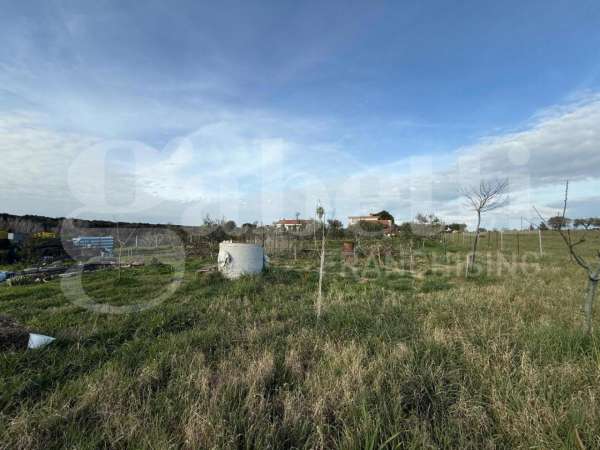 Foto Terreno agricolo in vendita a Nettuno