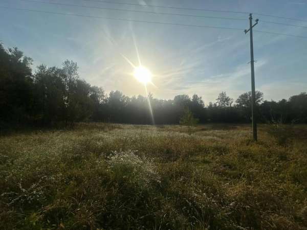 Foto Terreno agricolo in vendita a Nibionno