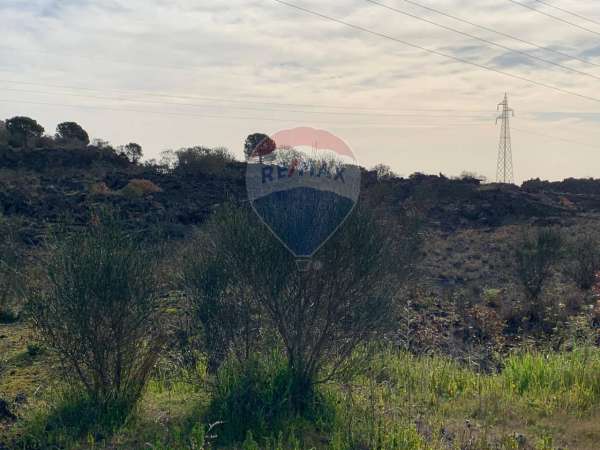 Foto Terreno agricolo in vendita a Nicolosi