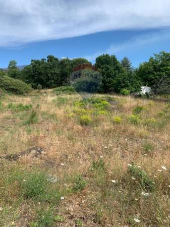 Foto Terreno agricolo in vendita a Nicolosi