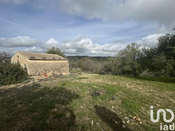 Foto Terreno agricolo in vendita a Noto