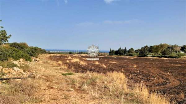 Foto Terreno agricolo in vendita a Noto