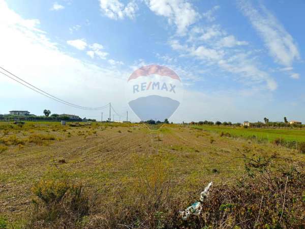Foto Terreno agricolo in vendita a Pachino