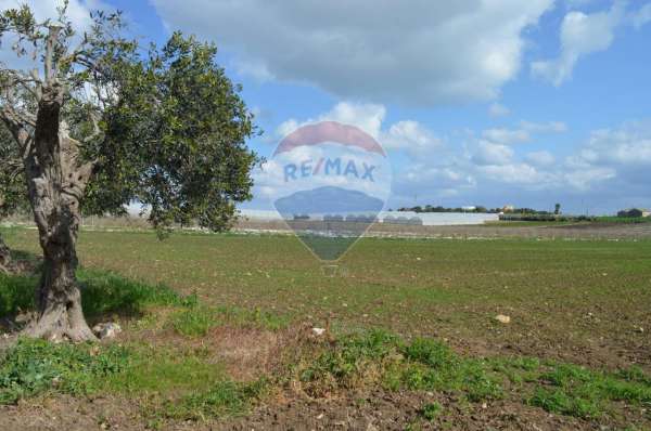 Foto Terreno agricolo in vendita a Pachino