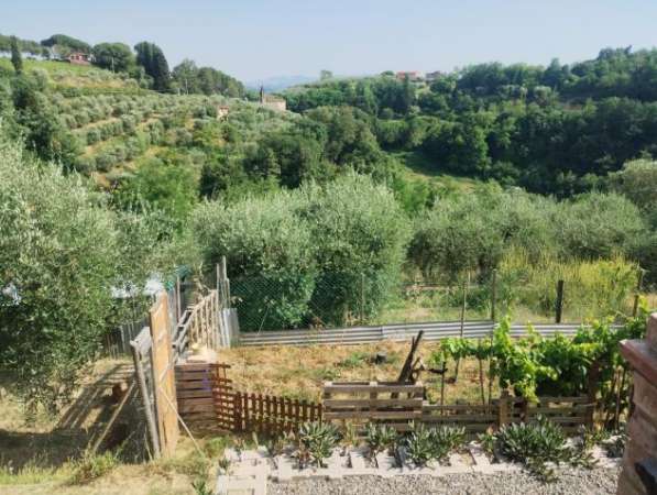 Foto Terreno agricolo in vendita a Palaia 13500 mq  Rif: 1333661