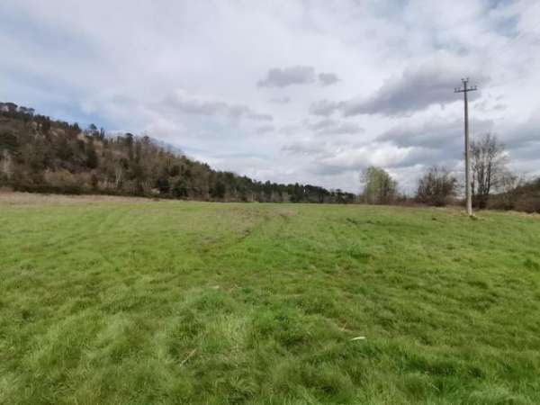 Foto Terreno agricolo in vendita a Palaia 21620 mq  Rif: 961920