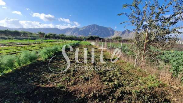 Foto Terreno agricolo in vendita a Palermo