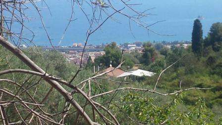 Foto Terreno agricolo in vendita a Patti