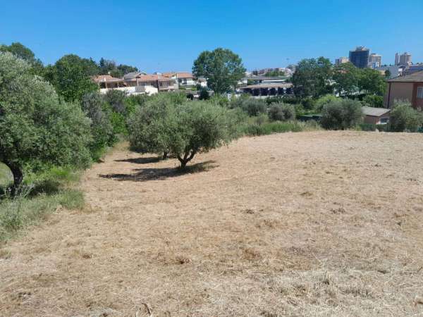 Foto Terreno agricolo in vendita a Pescara