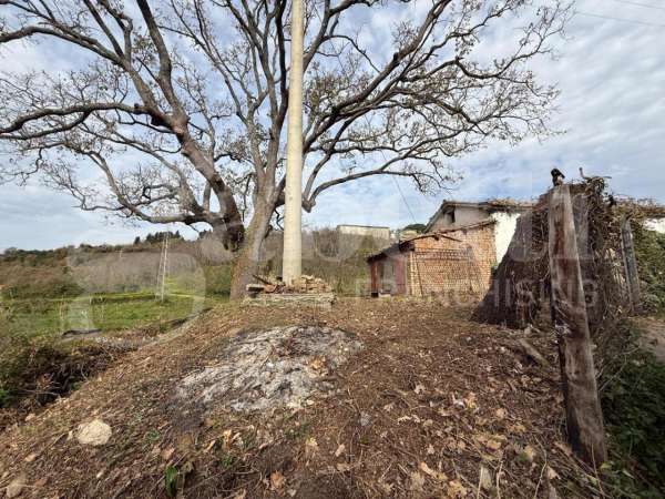 Foto Terreno agricolo in vendita a Pianopoli