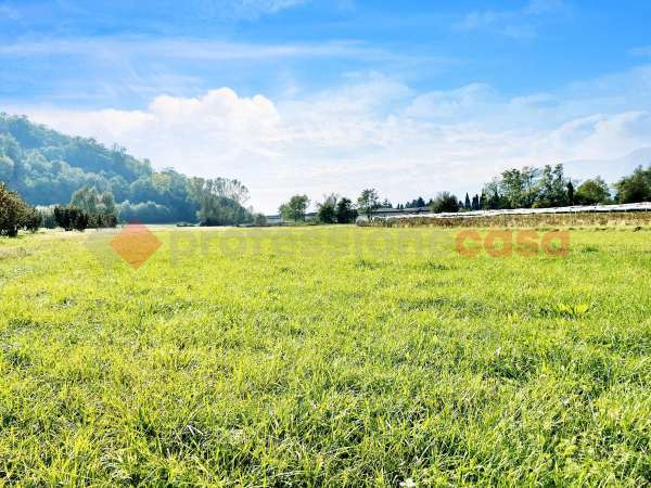 Foto Terreno agricolo in vendita a Pinerolo