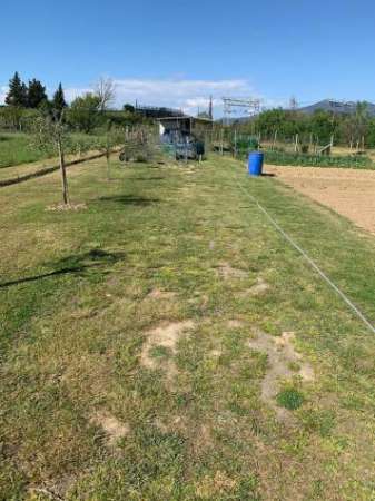 Foto Terreno agricolo in vendita a Pisa 4000 mq  Rif: 1261626