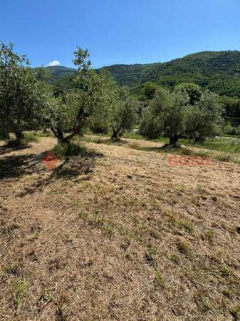 Foto Terreno agricolo in vendita a Pistoia