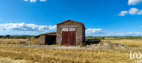 Foto Terreno agricolo in vendita a Pitigliano