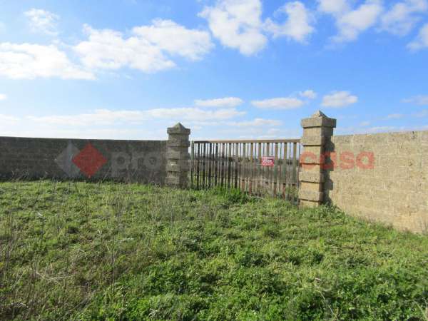 Foto Terreno agricolo in vendita a Poggiardo