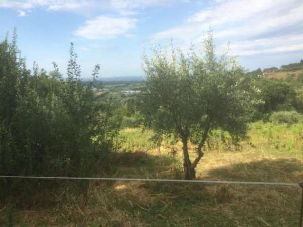 Foto Terreno agricolo in vendita a Poggibonsi 3500 mq  Rif: 1290553