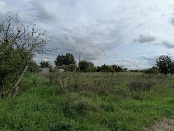 Foto Terreno agricolo in vendita a Ponsacco 12080 mq  Rif: 1062396