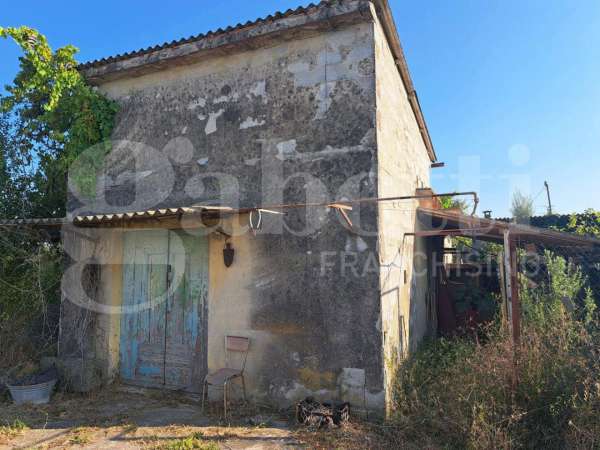 Foto Terreno agricolo in vendita a Ponsacco