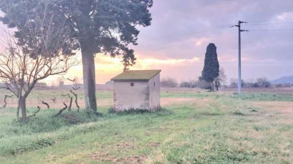 Foto Terreno agricolo in vendita a Ponticelli - Santa Maria a Monte 11800 mq  Rif: 1325069
