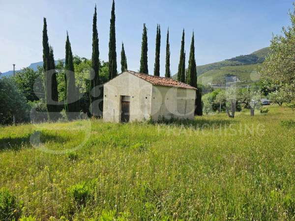 Foto Terreno agricolo in vendita a Praia A Mare