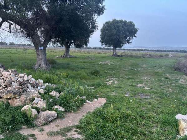 Foto Terreno agricolo in vendita a Pulsano