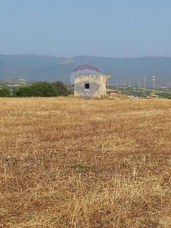 Foto Terreno agricolo in vendita a Quartucciu
