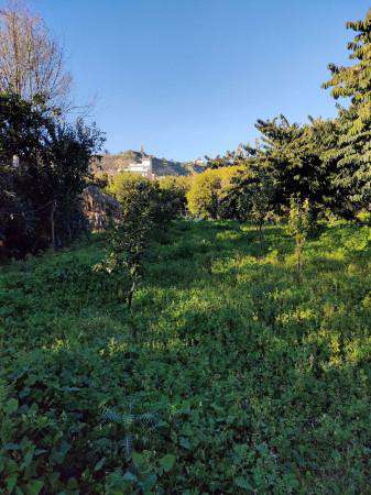 Foto Terreno agricolo in vendita a Reggio Calabria