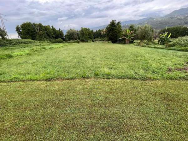 Foto Terreno agricolo in vendita a Renella - Montignoso 2008 mq  Rif: 1196906