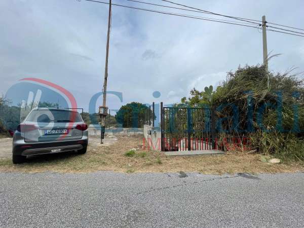 Foto Terreno agricolo in vendita a Rometta