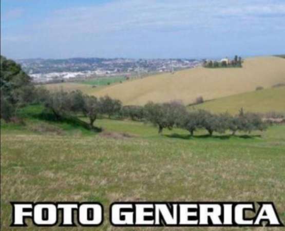 Foto Terreno agricolo in vendita a San Frediano a Settimo - Cascina 8510 mq  Rif: 1285133