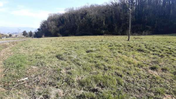 Foto Terreno agricolo in vendita a San Giovanni Valdarno