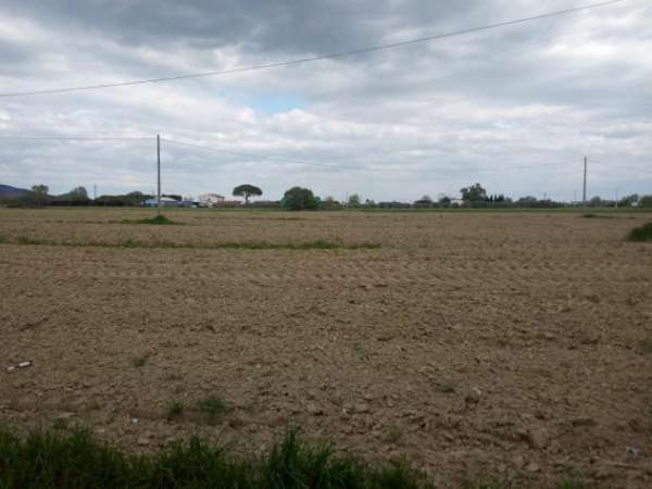 Foto Terreno agricolo in vendita a San Lorenzo a Pagnatico - Cascina 7370 mq  Rif: 1083638