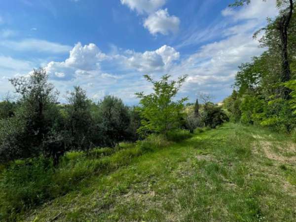 Foto Terreno agricolo in vendita a San Miniato 25756 mq  Rif: 205335
