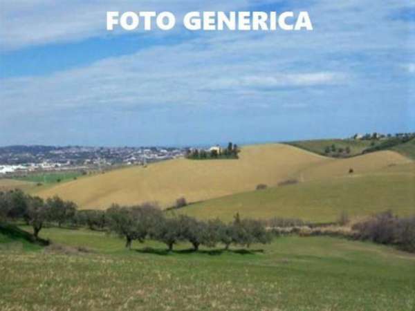 Foto Terreno agricolo in vendita a San Miniato 9435 mq  Rif: 821454