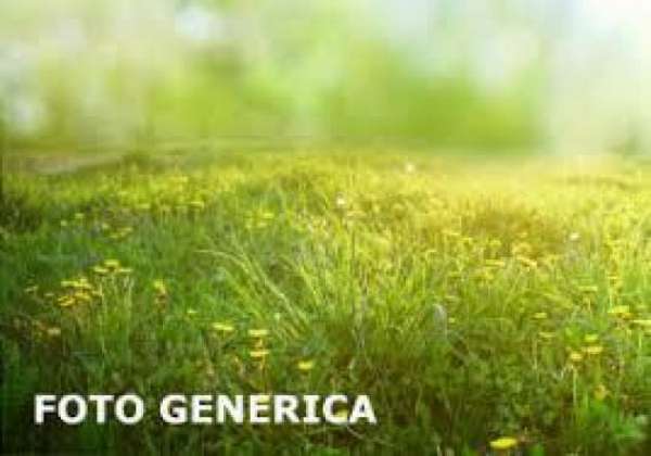 Foto Terreno agricolo in vendita a San Piero a Grado - Pisa 3500 mq  Rif: 1272460