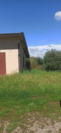 Foto Terreno agricolo in vendita a San Pietro In Belvedere - Capannoli 25000 mq  Rif: 1265812